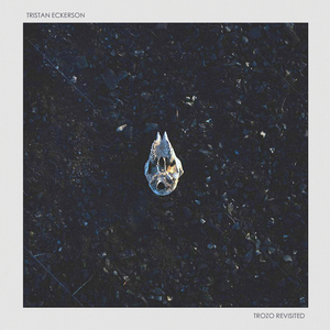 粗壮军人大JI巴进入
